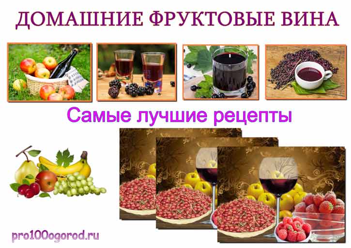 приготовление фруктовых вин