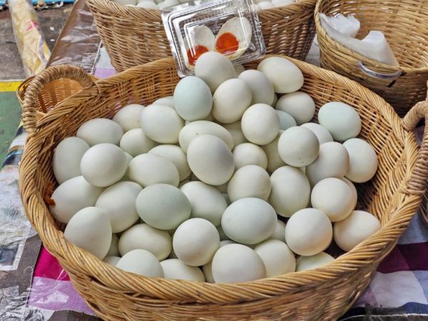 Утиные яйца полезны для человека