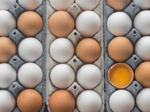 Овоскопирование куриных яиц