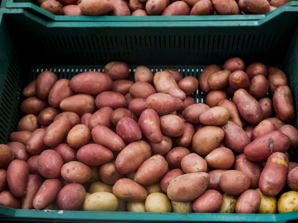 Цены на картофель в 2019 году