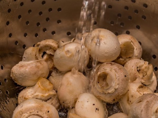 Очищенные грибы промывают под струей воды