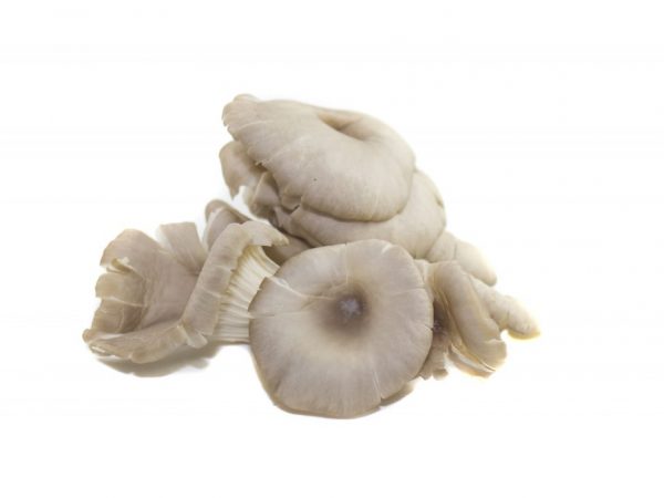 Из грибов можно приготовить много вкусных блюд