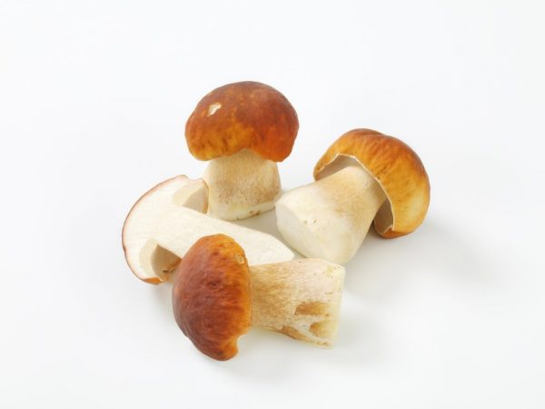 Вареные грибы хранятся дольше