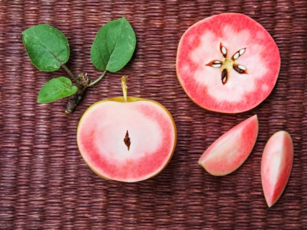 Сушеные яблоки и их влияние на организм