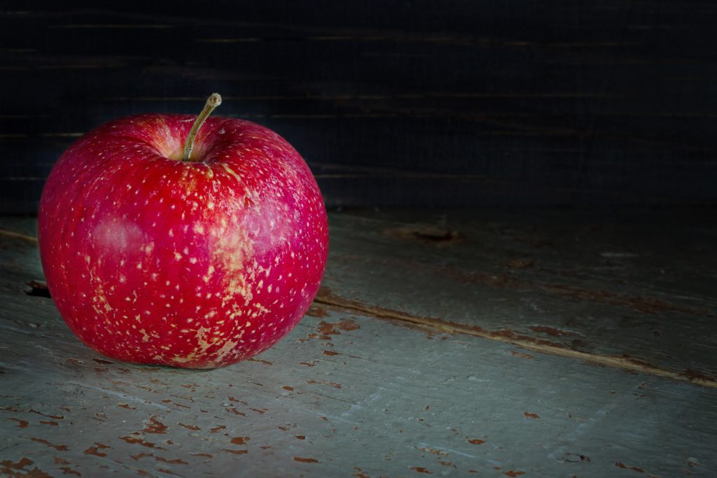 Яблоня Дарунак - описание сорта, отзывы и фото яблок