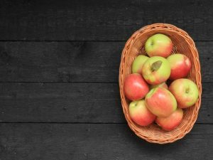 Яблоня Коробовка — описание сорта