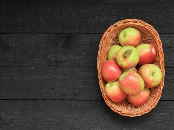 Яблоня Коробовка — описание сорта
